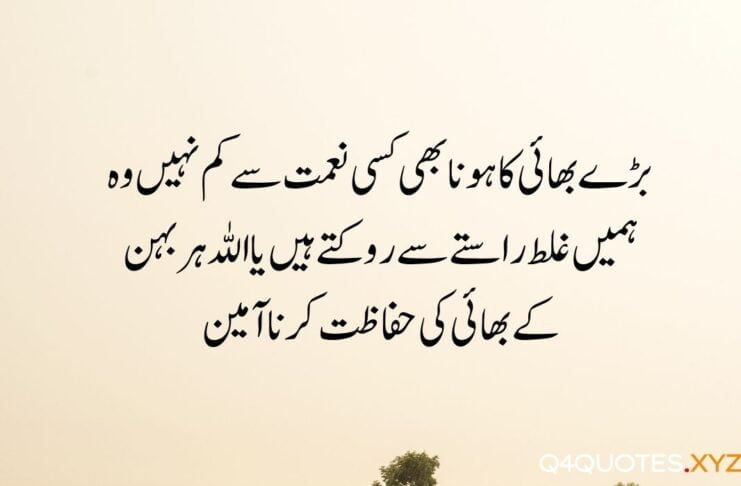 Brother Quotes in Urdu to share your love