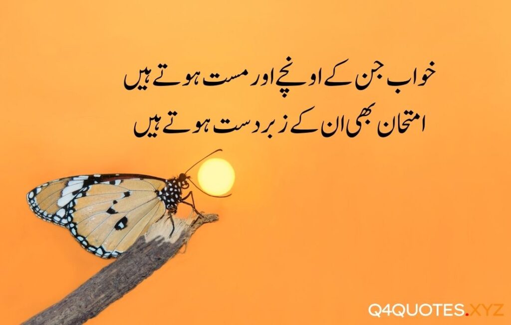 sad-quotes-in-urdu-q4quotes