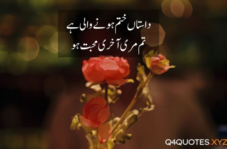 Love Quotes in Urdu