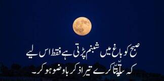 Allama Iqbal Islamic Poetry poetry