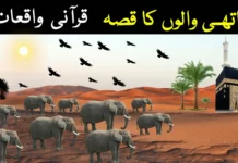 ہاتھی والوں کا قصہ