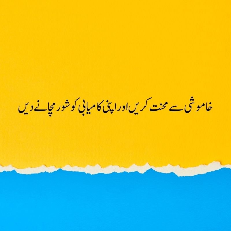 Wisdom Quotes - خاموشی سے محنت کریں اور اپنی کامیابی کو شور مچانے دیں