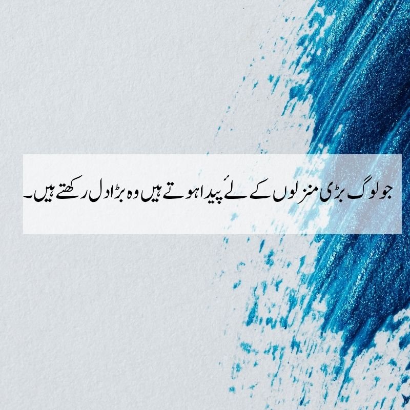 Wisdom Quotes - جو لوگ بڑی منزلوں کے لیے پیدا ہوتے ہیں وہ بڑا دل رکھتے ہیں