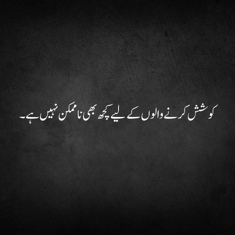 Wisdom Quotes - کوشش کرنے والوں کے لیے کچھ بھی ناممکن نہیں ہے